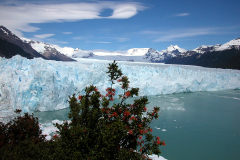 Estate in Patagonia